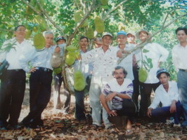 Nông dân đi tham quan vườn mít Viên Linh tại xã Bảo Quang huyện Long Khánh